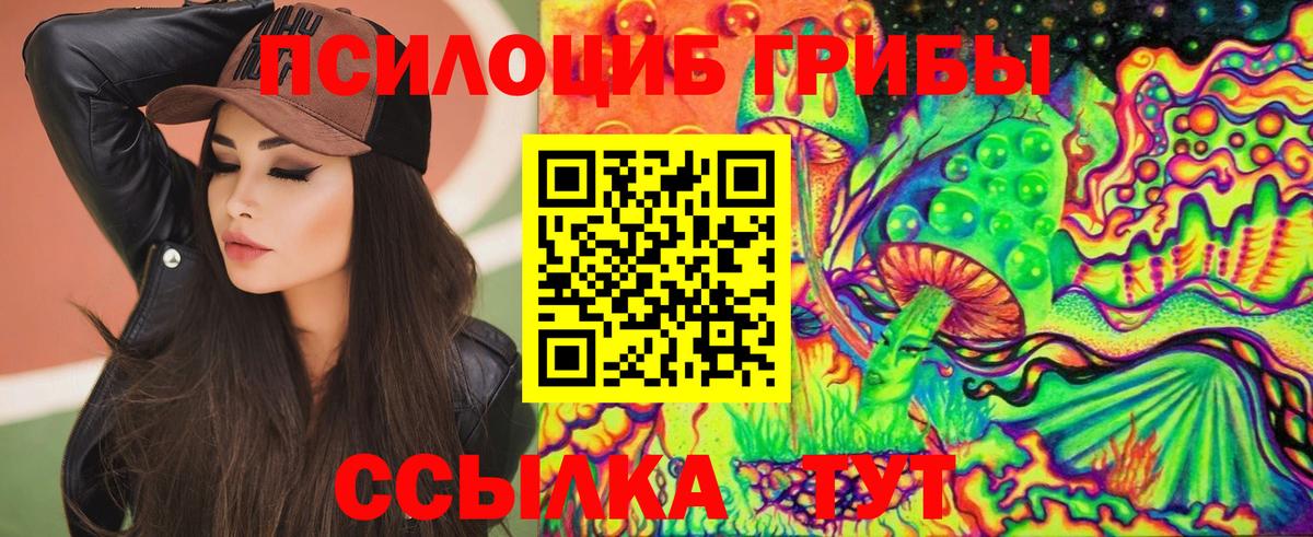 Псилоцибиновые грибы Psilocybine cubensis Дербент