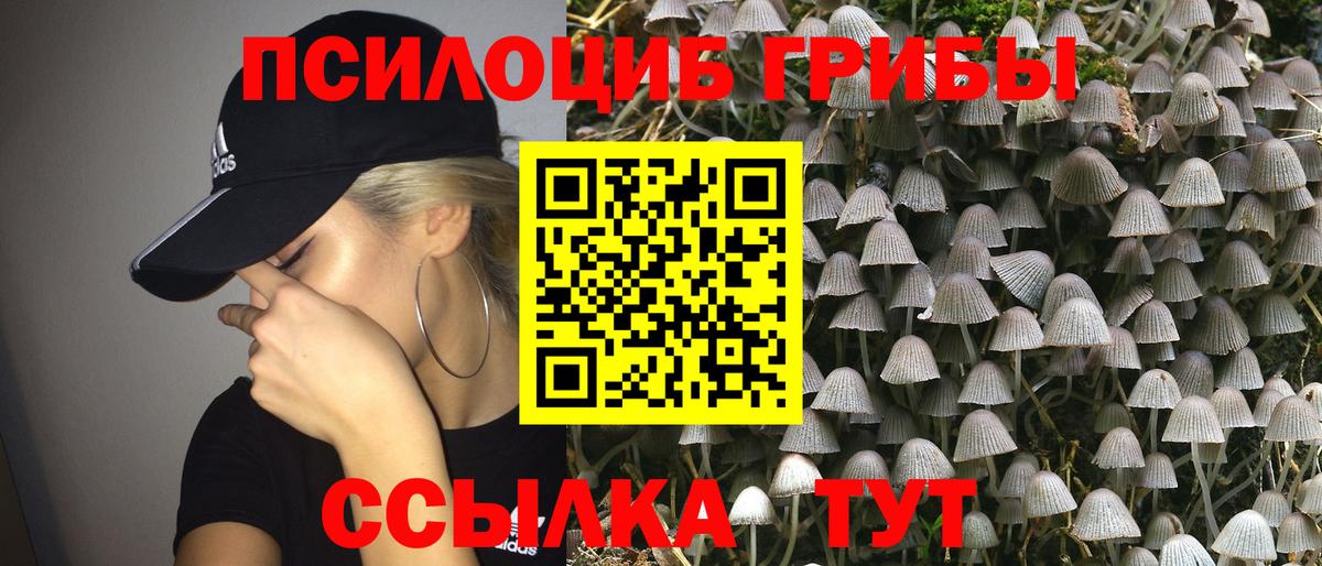Галлюциногенные грибы MAGIC MUSHROOMS  Вход с VPN  Псилоцибиновые грибы ЛСД  Дербент 